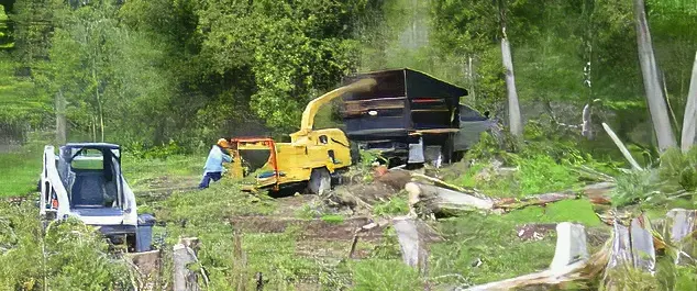 Lot-Clearing-Equipment